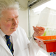 Image for article titled This Agricultural Breakthrough Makes Every Crop Self-Fertilizing